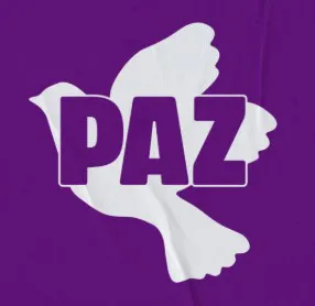 11 Captura de pantalla 2025-09-24 194457
