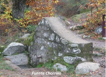 Captura de pantalla_15-7-2025_152958_rozasdepuertoreal.es