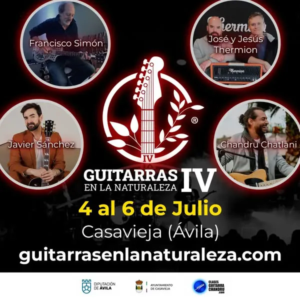 guitarras casavieja