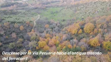 Captura de pantalla_15-7-2025_152849_rozasdepuertoreal.es