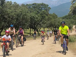 Imagen de WhatsApp 2025-06-11 a las 17.43.59_5232044b