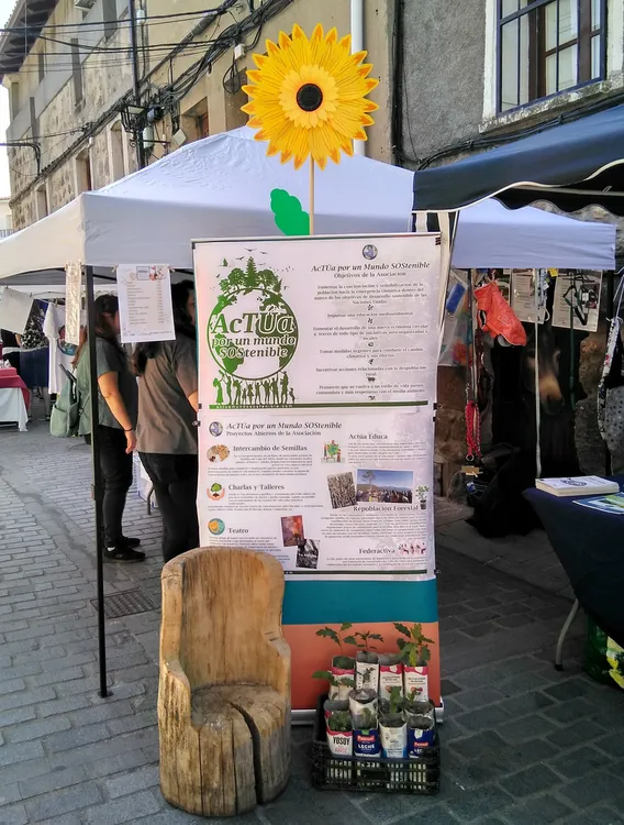 Actua Mercado Sentidos 2024