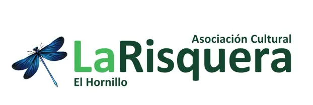 Captura de pantalla 2025-08-11 211906