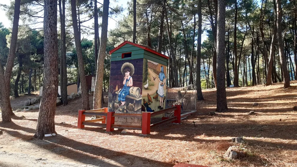 295289423_3229872200667842_6761460581372719813_n