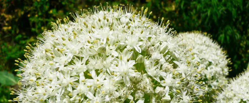 8bede470-7334-476f-99dc-09672fabf428