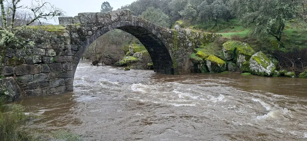 222WhatsApp Image 2026-02-18 at 17.22.12