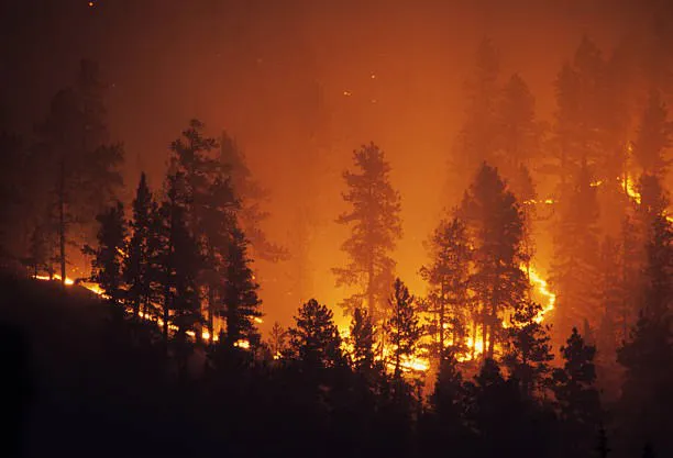 Imagen de WhatsApp 2025-08-20 a las 17.07.34_f24fbfe7