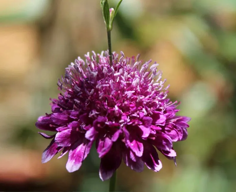 1b75615b-c178-49b2-b441-1fbd4cefde27