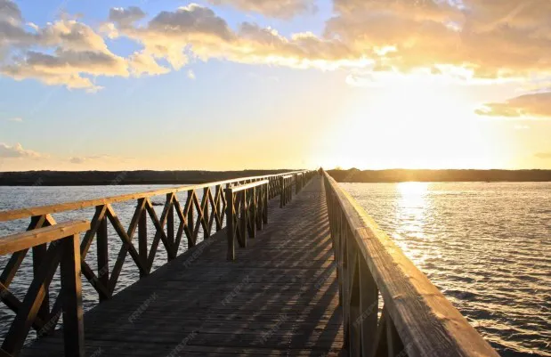 Captura de pantalla 2025-11-11 224218