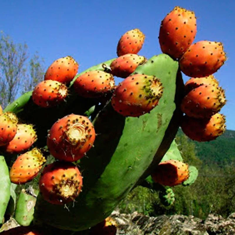 cb3092ab-29ac-4973-9db6-447919f796a3