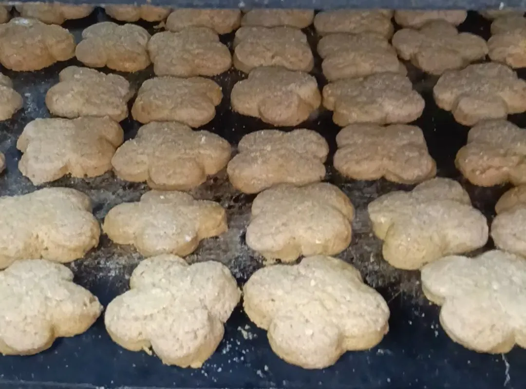 VID20250226110141_exported_0~2