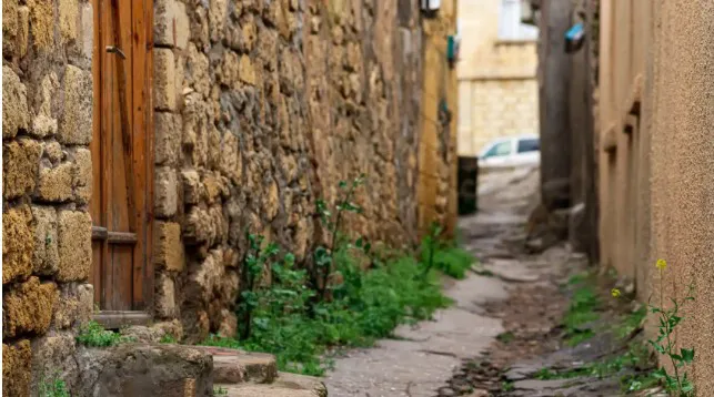 Captura de pantalla 2025-11-11 233826