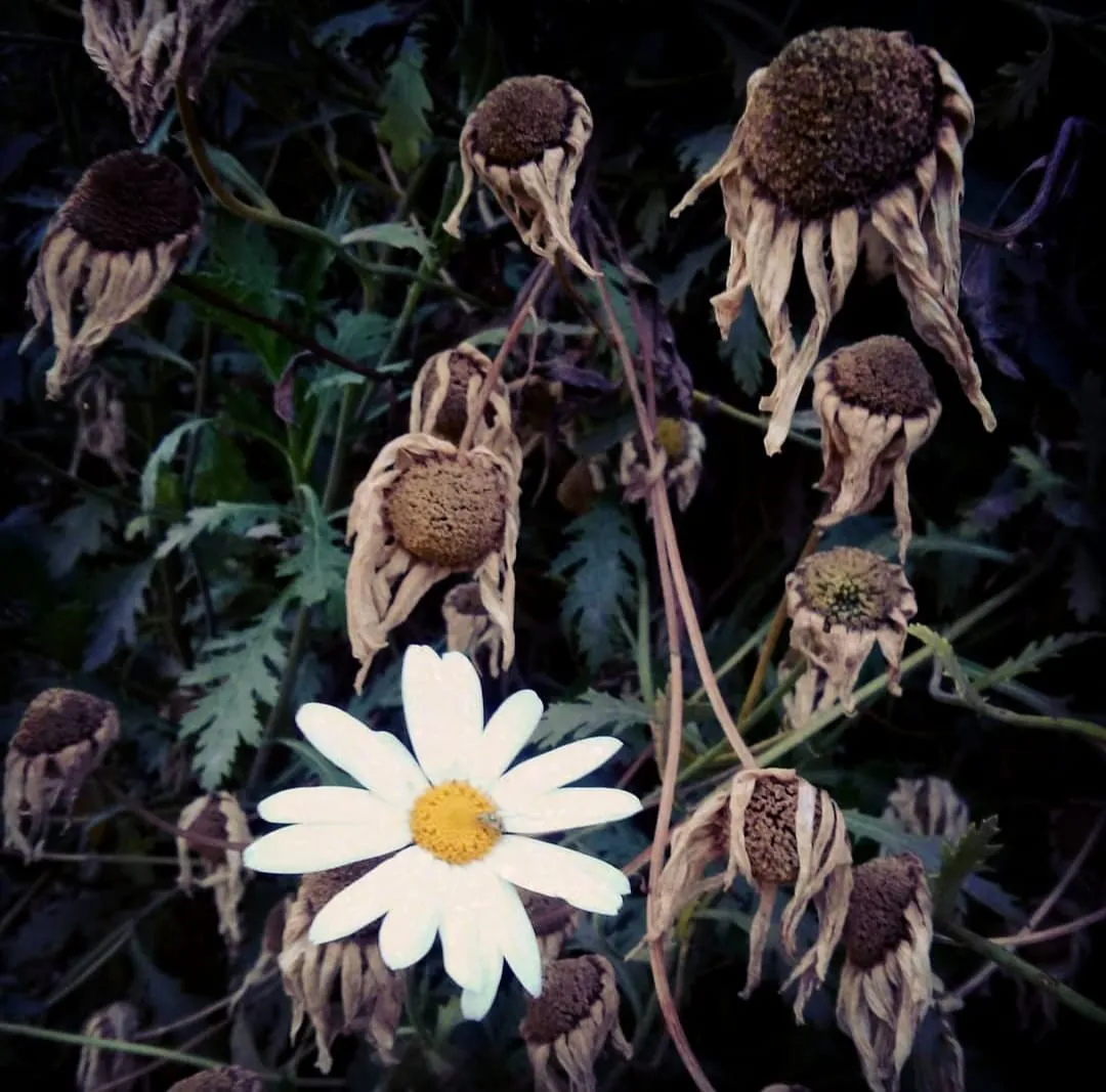 WhatsApp Image 2025-11-11 at 12.24.22