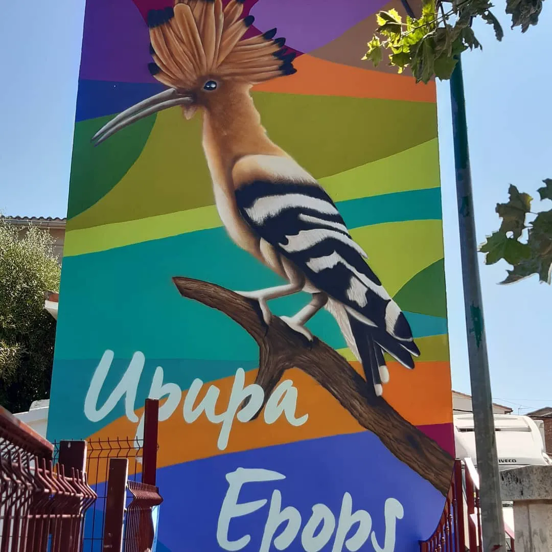 472156038_3901530006835388_960367395459236684_n