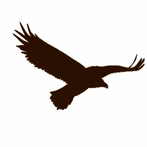 El Diario del Tiétar